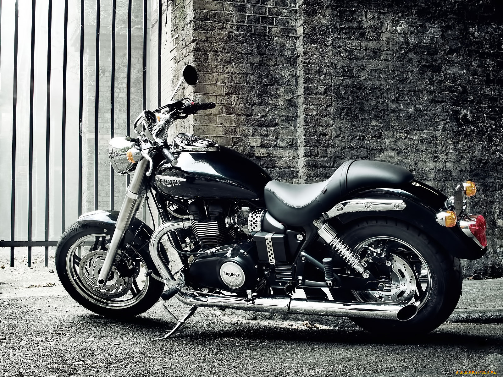 triumph, speedmaster, 2010, 